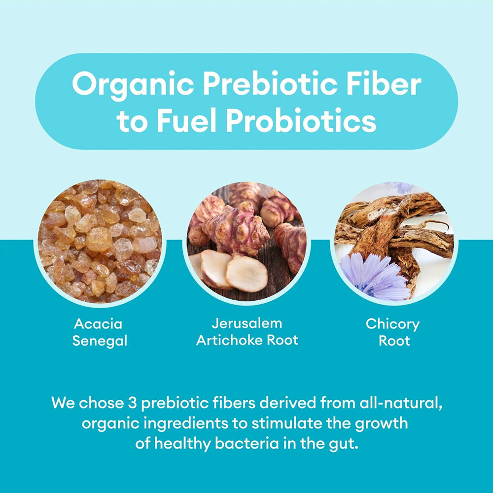 Probiotics 60 Billion CFU 10 Strains Organic Prebiotics - Immune, Digestive Gut Health - Supports Occasional Constipation, Diarrhea, Gas & Bloating - For Women & Men - 30ct