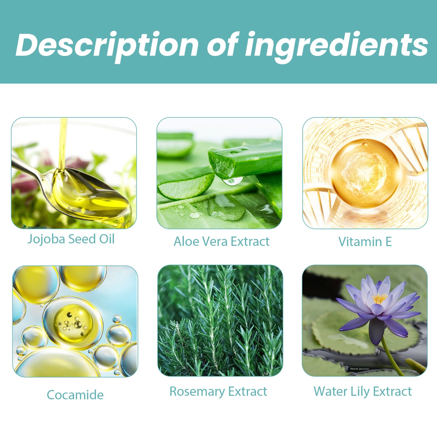Shower Oil Body Cleansing Repairing Skin Moisturizing Lubricating Skin Care Shower Oil