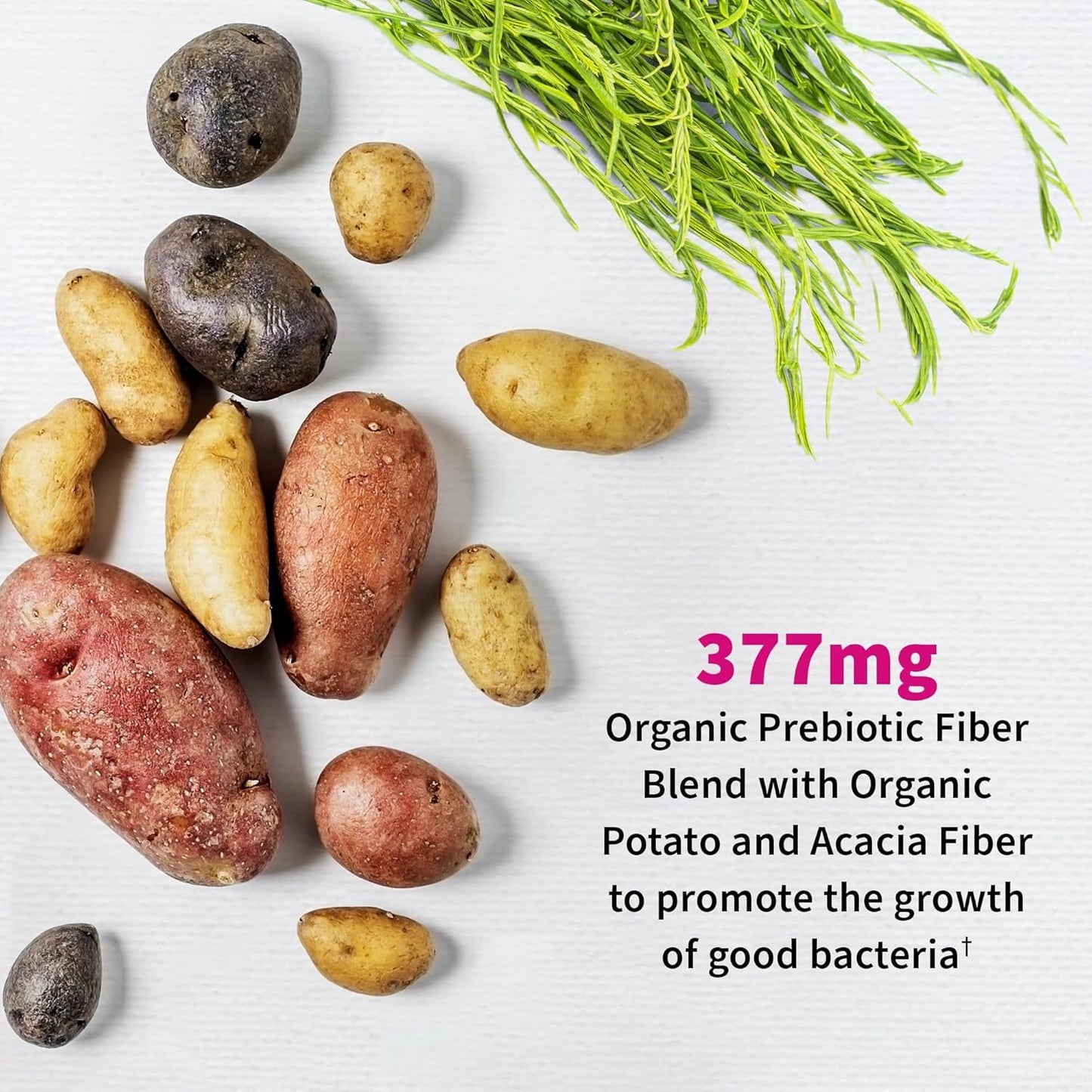 50 Billion CFU 16 Probiotic Strains With Organic Prebiotics For Digestive